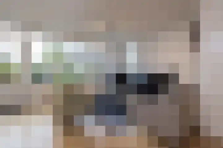Gerard Boedijnpad 17 Oegstgeest thumbnail 8