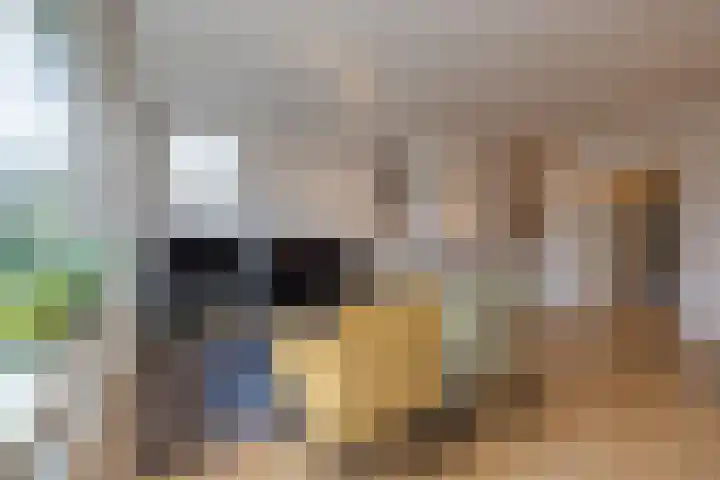 Gerard Boedijnpad 17 Oegstgeest thumbnail 9