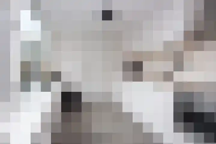 Gerard Boedijnweg 36 Bovenkarspel thumbnail 14
