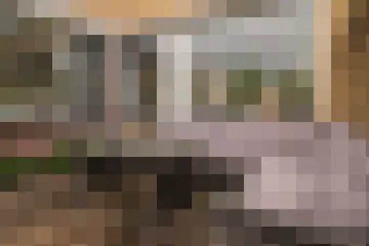 Gerard Boedijnweg 36 Bovenkarspel thumbnail 35