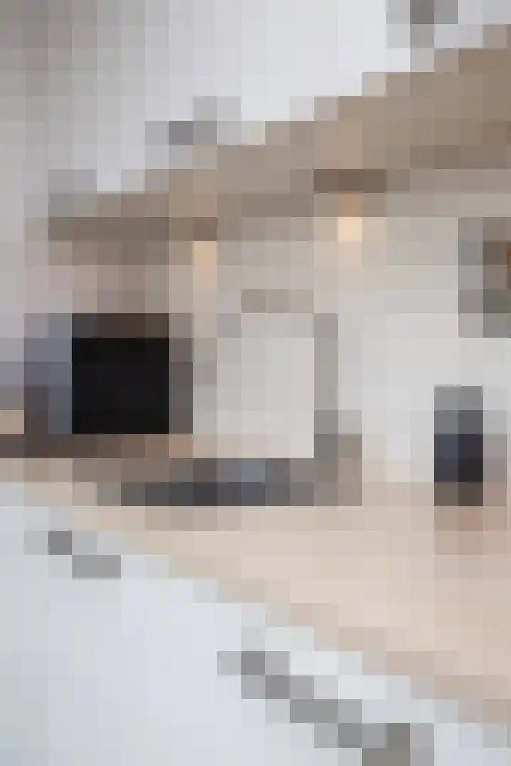 Gerard Boedijnweg 36 Bovenkarspel thumbnail 47