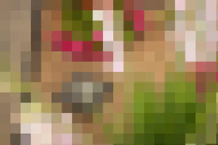 Gerard Boedijnweg 36 Bovenkarspel thumbnail 6