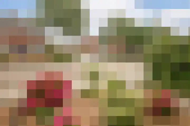 Gerard Boedijnweg 36 Bovenkarspel thumbnail 7