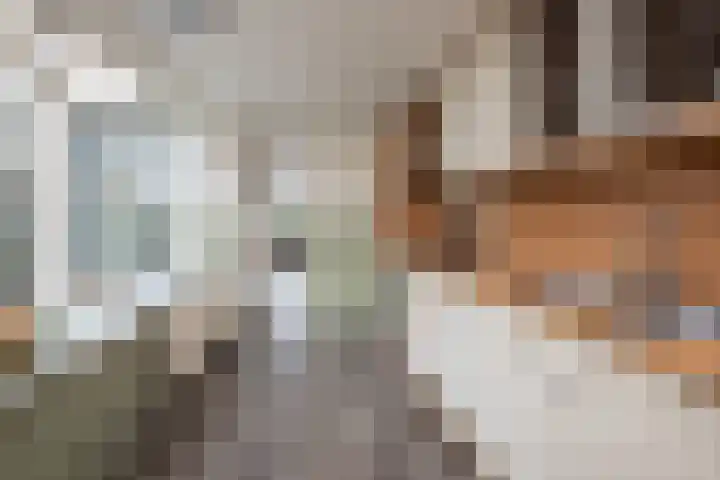 Gerard Boedijnweg 6 Bovenkarspel thumbnail 14