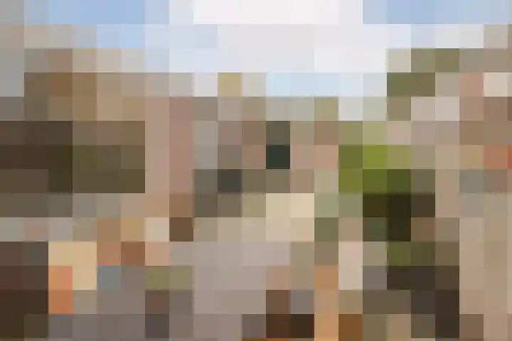 Gerard Boedijnweg 6 Bovenkarspel thumbnail 30
