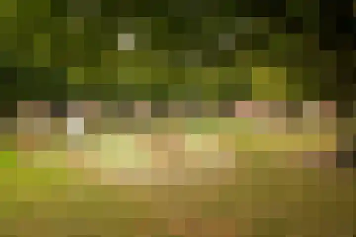 Gerard Boedijnweg 6 Bovenkarspel thumbnail 35