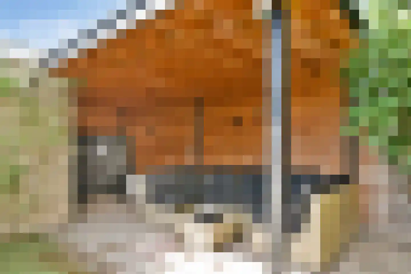 Gerard Brandtstraat 101 Leiden thumbnail 33