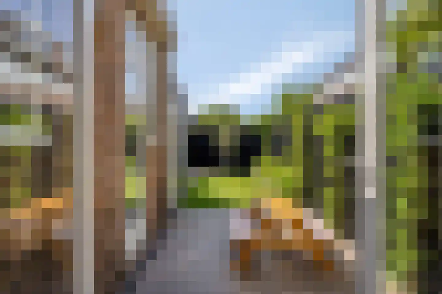 Gerard Brandtstraat 19 Leiden thumbnail 17