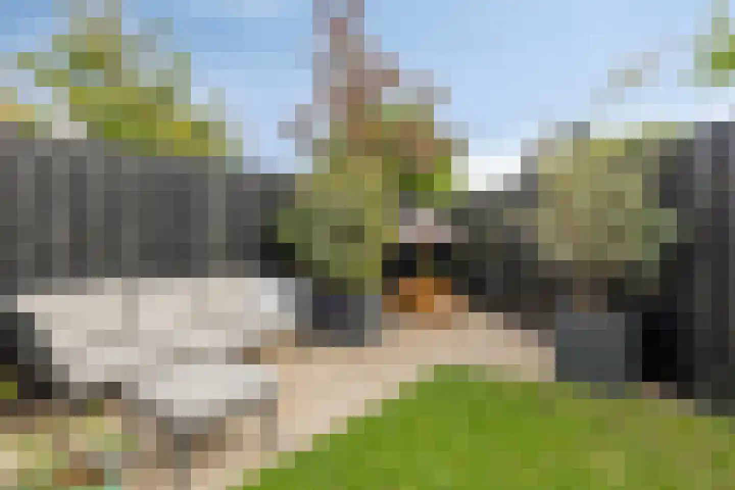 Gerard Brandtstraat 19 Leiden thumbnail 19