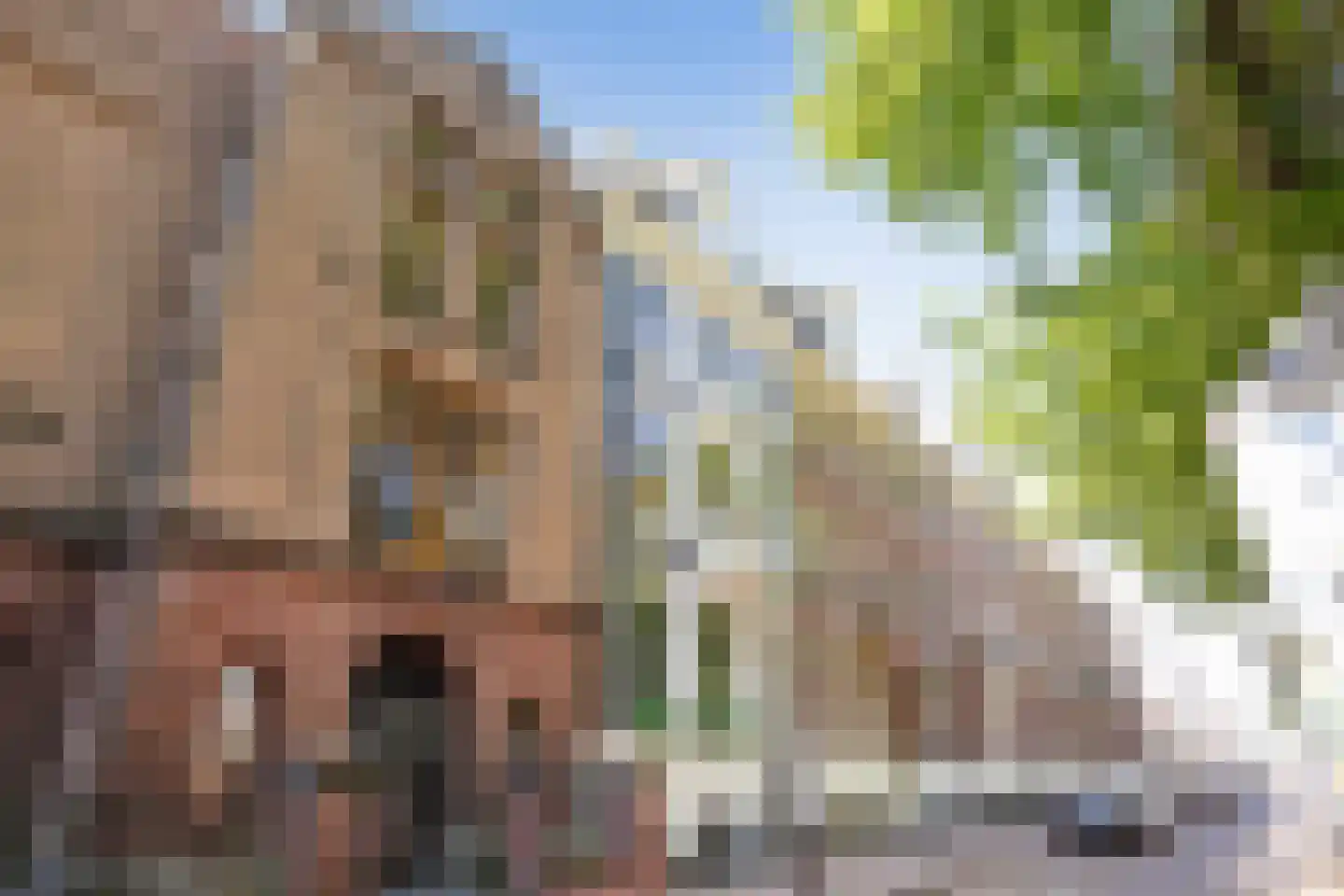 Gerard Brandtstraat 24 B Amsterdam thumbnail 4