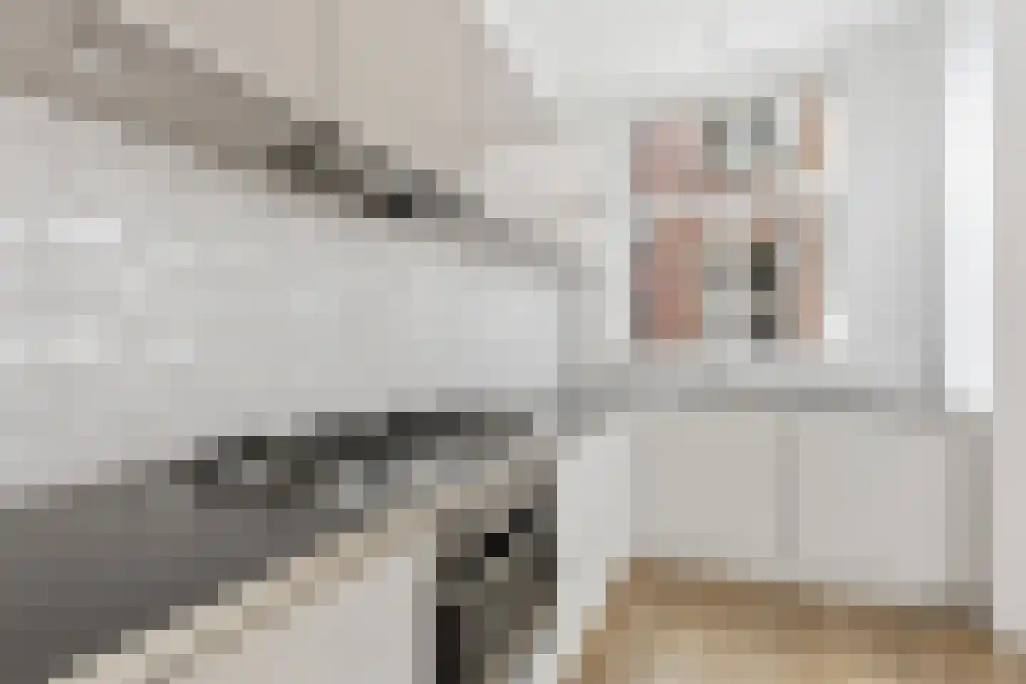 Gerard Brandtstraat 3 1 Amsterdam thumbnail 37