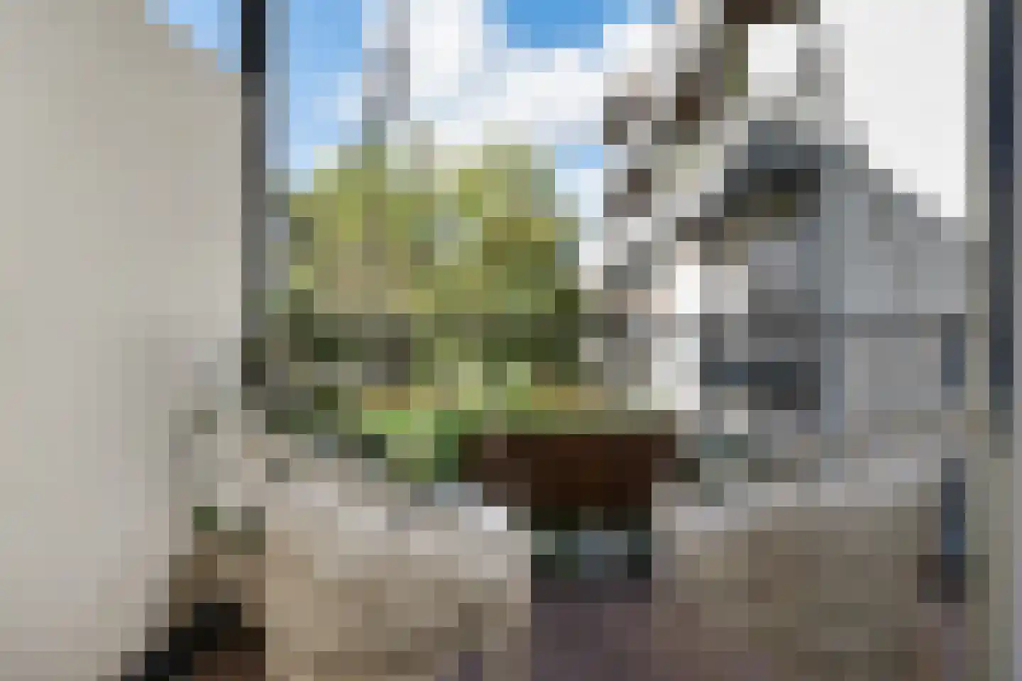Gerard Brandtstraat 4 B Amsterdam thumbnail 28