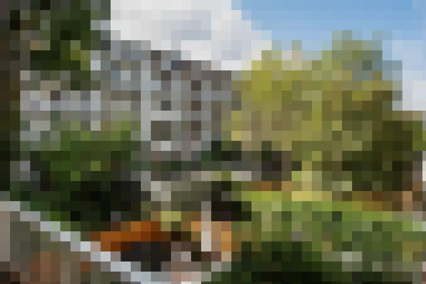 Gerard Brandtstraat 4 B Amsterdam thumbnail 29