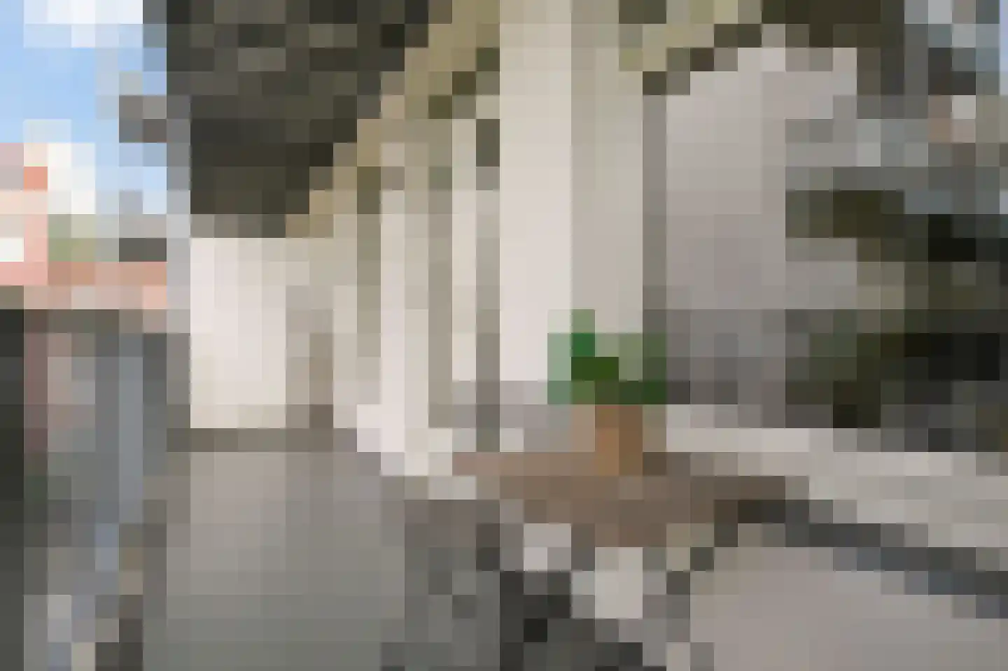 Gerard Brandtstraat 4 C Amsterdam thumbnail 19