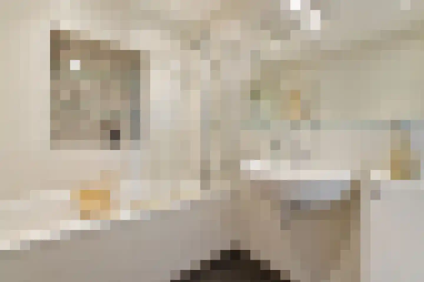 Gerard Brandtstraat 4 C Amsterdam thumbnail 21
