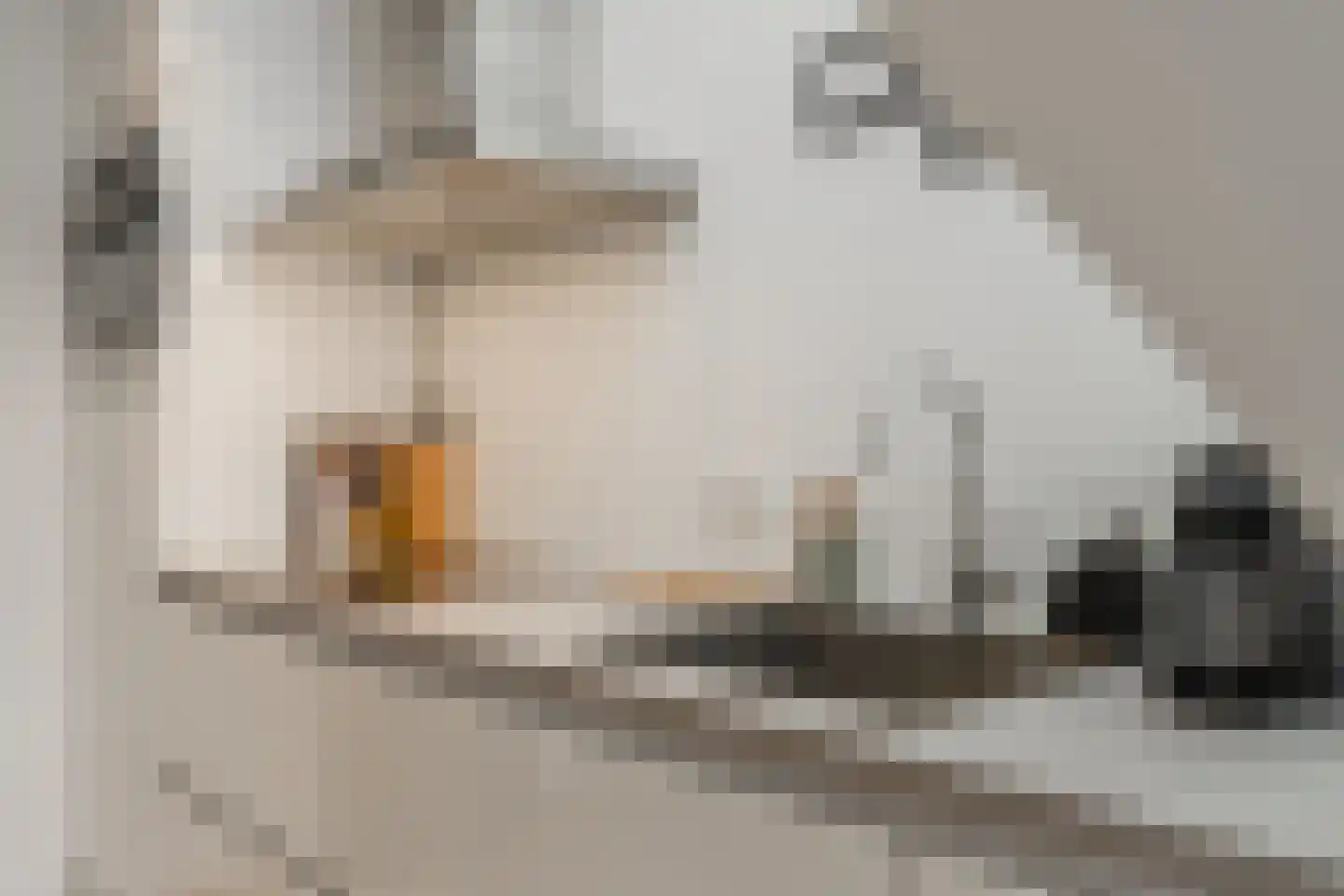 Gerard Brandtstraat 6 D 3 Amsterdam thumbnail 22