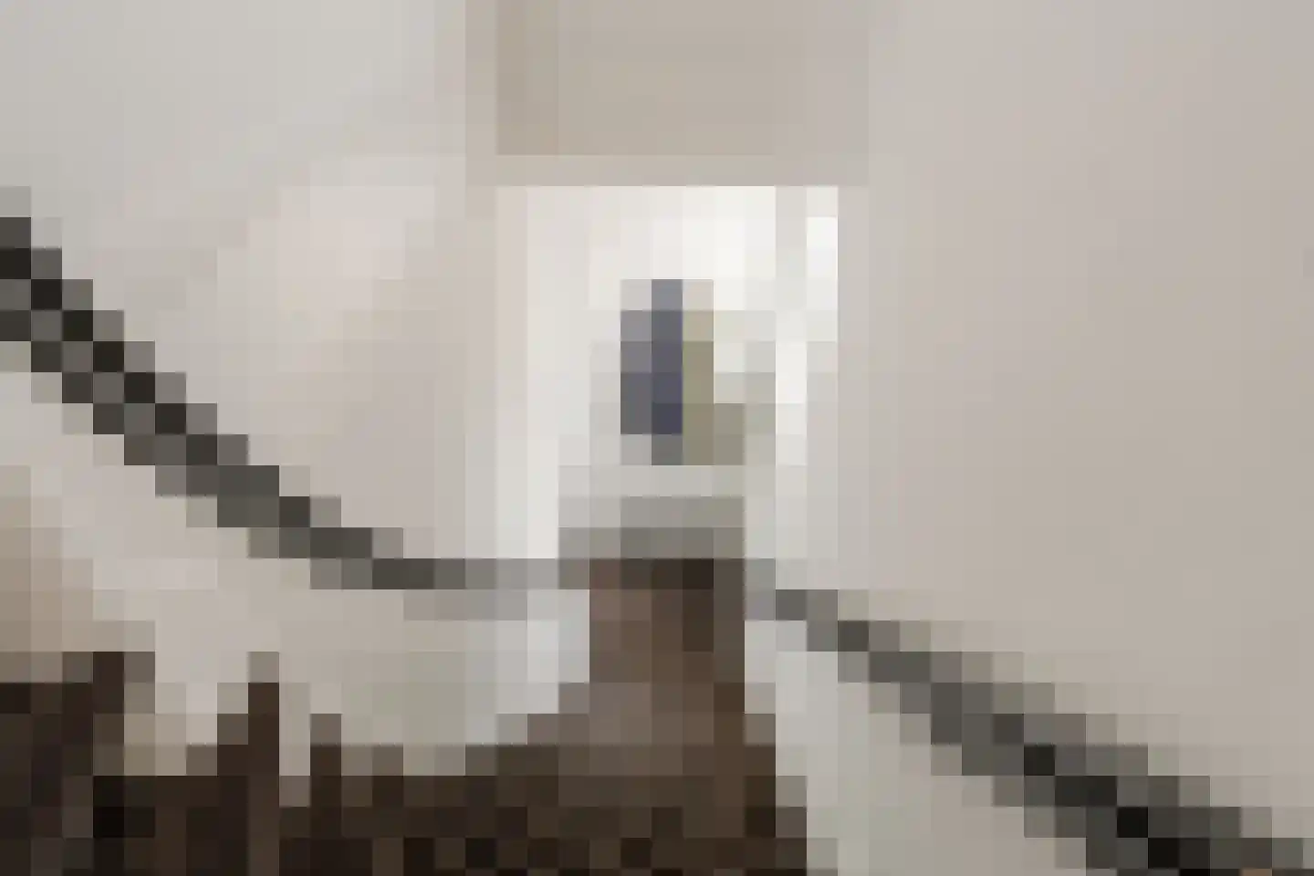 Gerard Brandtstraat 6 D 3 Amsterdam thumbnail 34