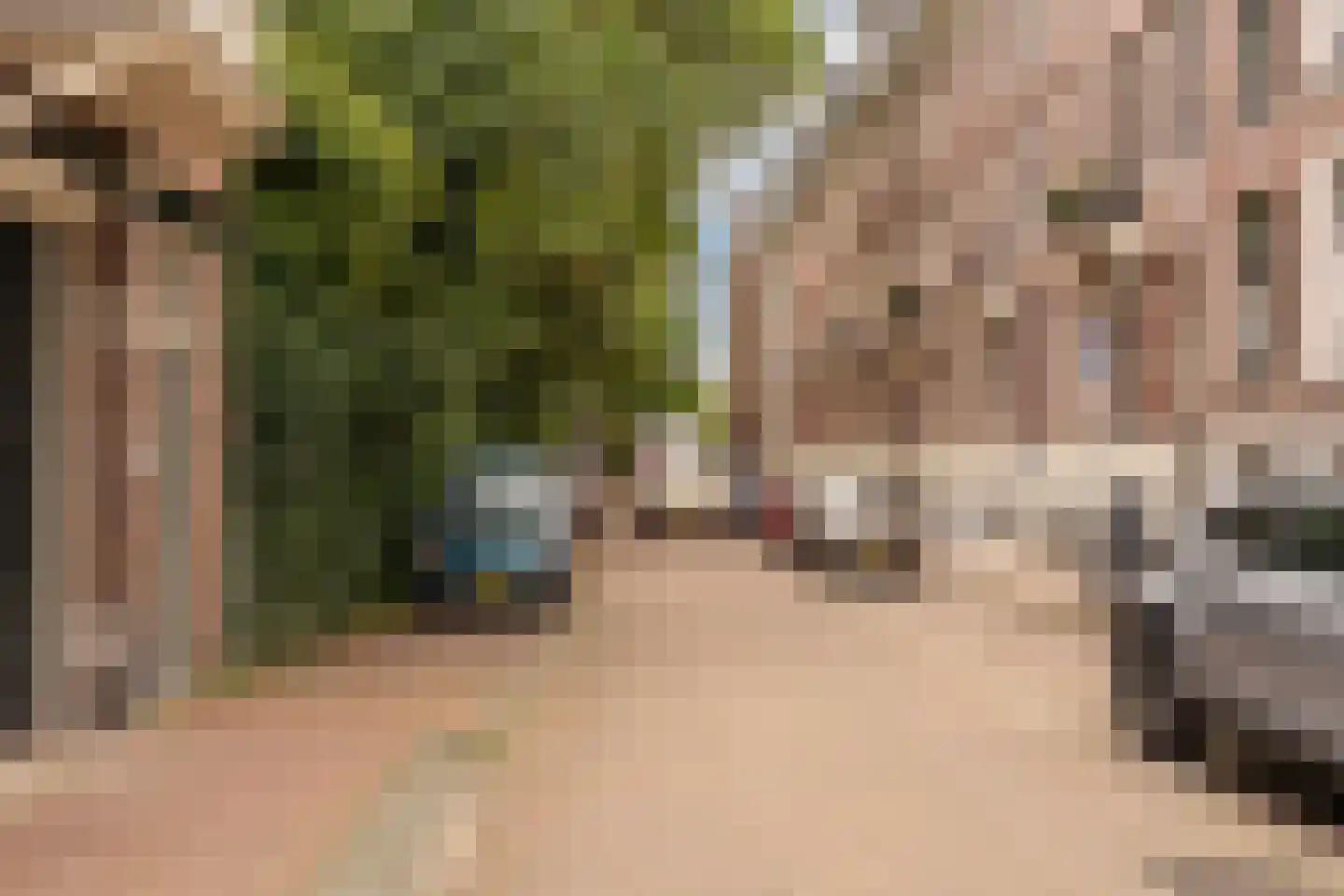 Gerard Brandtstraat 6 D 3 Amsterdam thumbnail 36