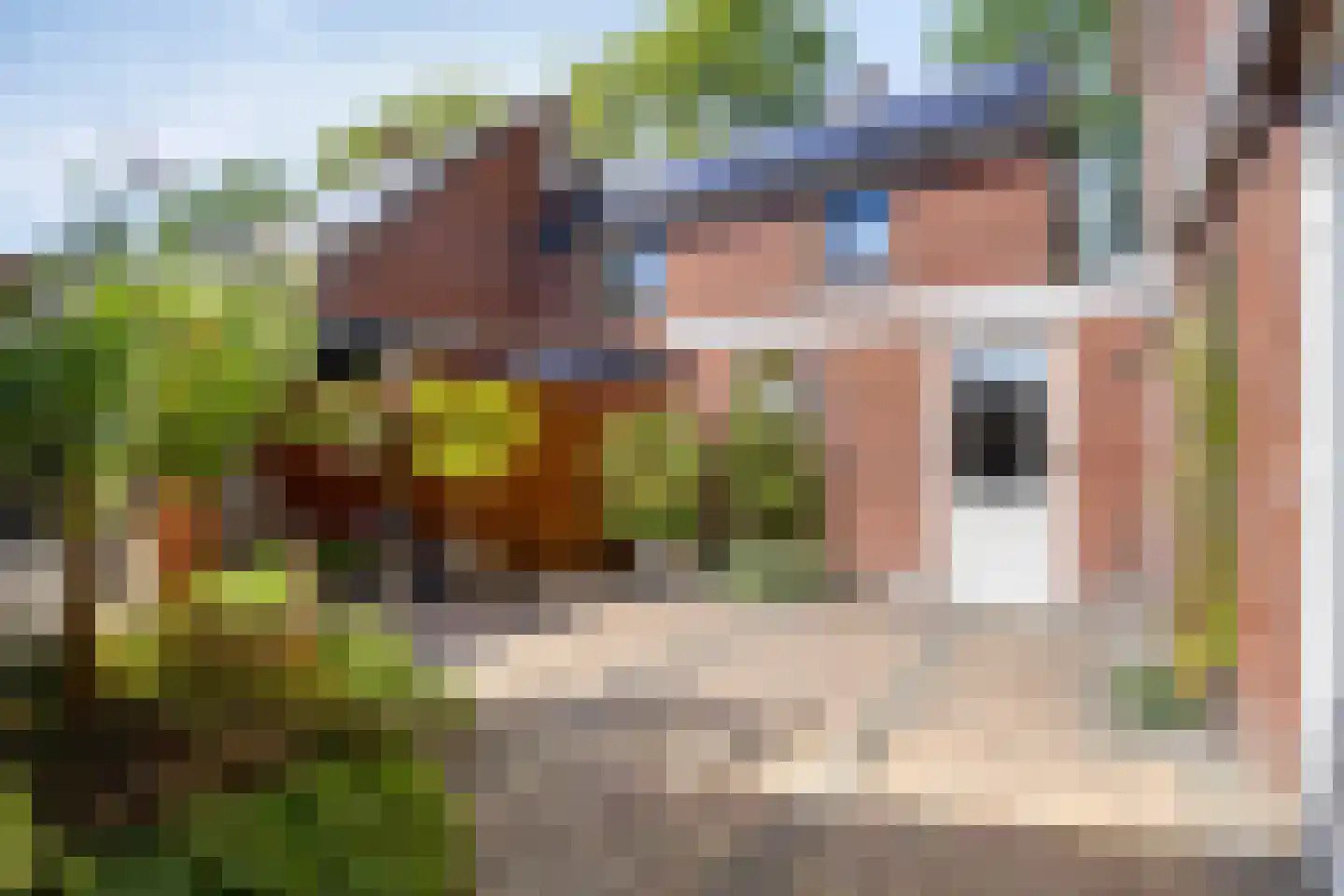 Gerard Brandtweg 121 Enkhuizen thumbnail 23