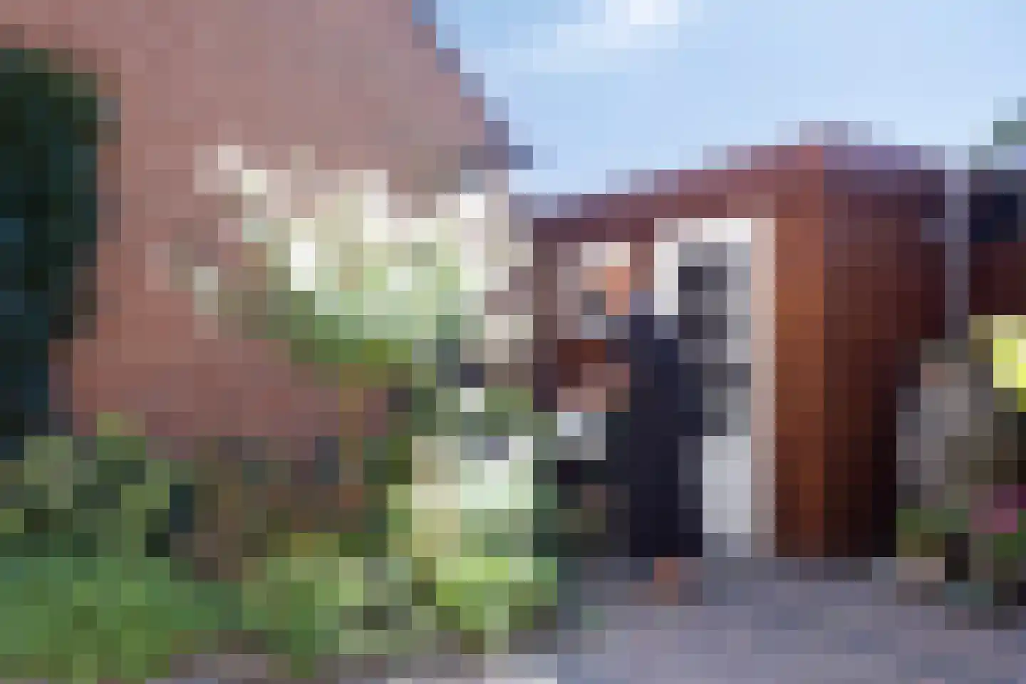 Gerard Brandtweg 121 Enkhuizen thumbnail 24