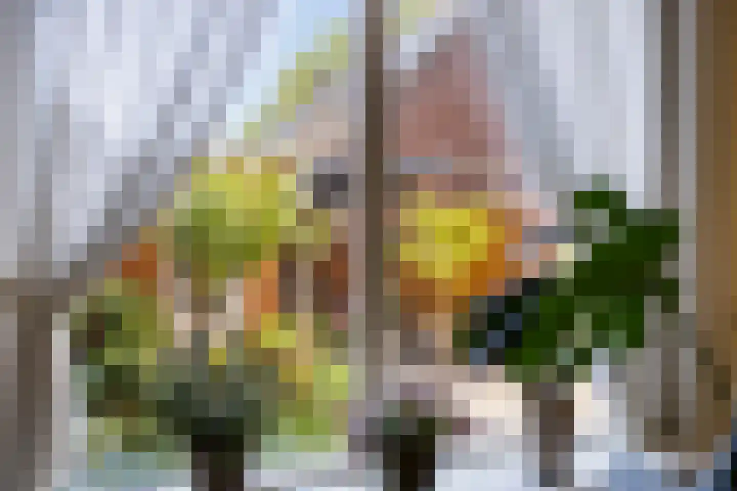 Gerard Brandtweg 121 Enkhuizen thumbnail 7