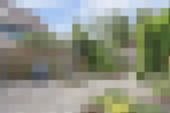Gerard Brandtweg 17 Enkhuizen thumbnail 13