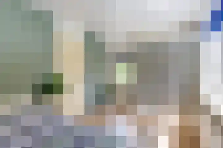Gerard Brandtweg 17 Enkhuizen thumbnail 21