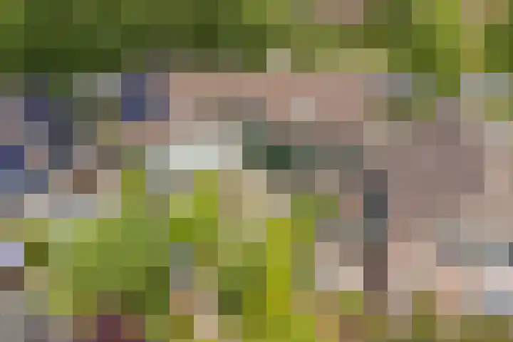 Gerard Brandtweg 17 Enkhuizen thumbnail 4