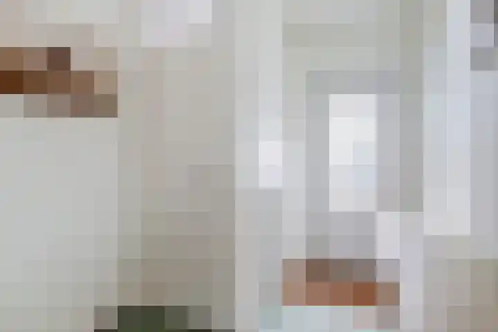 Gerard Brandtweg 17 Enkhuizen thumbnail 5
