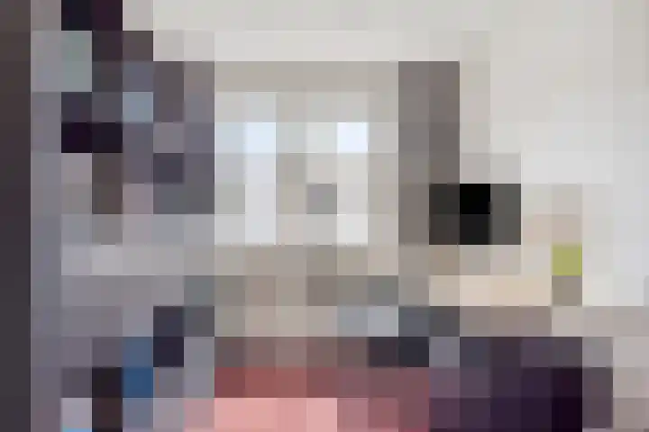 Gerard Bromlaan 13 Eindhoven thumbnail 17
