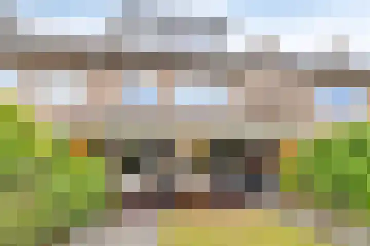 Gerard Bromlaan 13 Eindhoven thumbnail 26