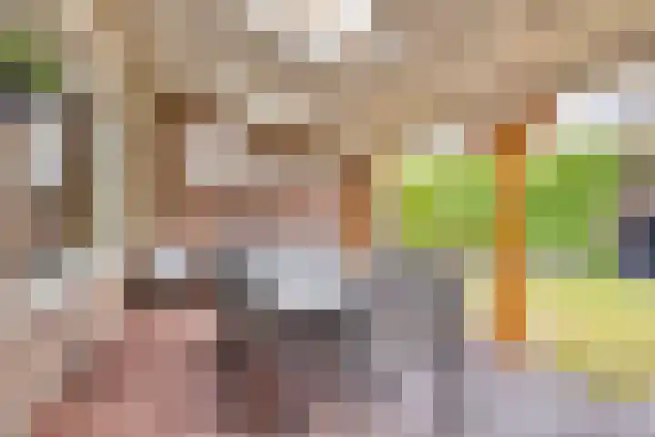 Gerard Bromlaan 13 Eindhoven thumbnail 27