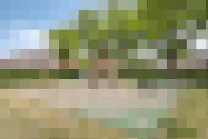 Gerard Bromlaan 13 Eindhoven thumbnail 30