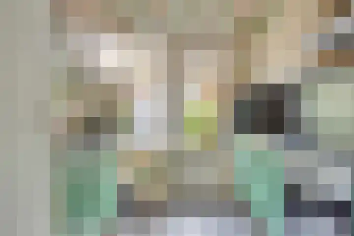 Gerard Bromlaan 13 Eindhoven thumbnail 8