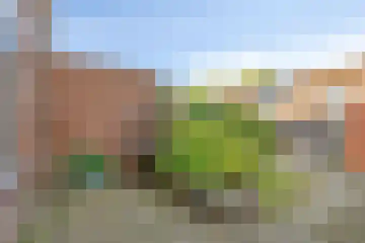 Gerard Bromlaan 4 Eindhoven thumbnail 24