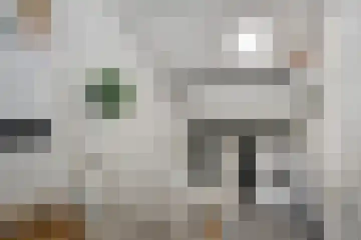 Gerard Bromlaan 42 Eindhoven thumbnail 26