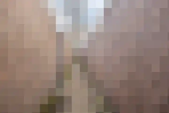 Gerard Bromlaan 42 Eindhoven thumbnail 34
