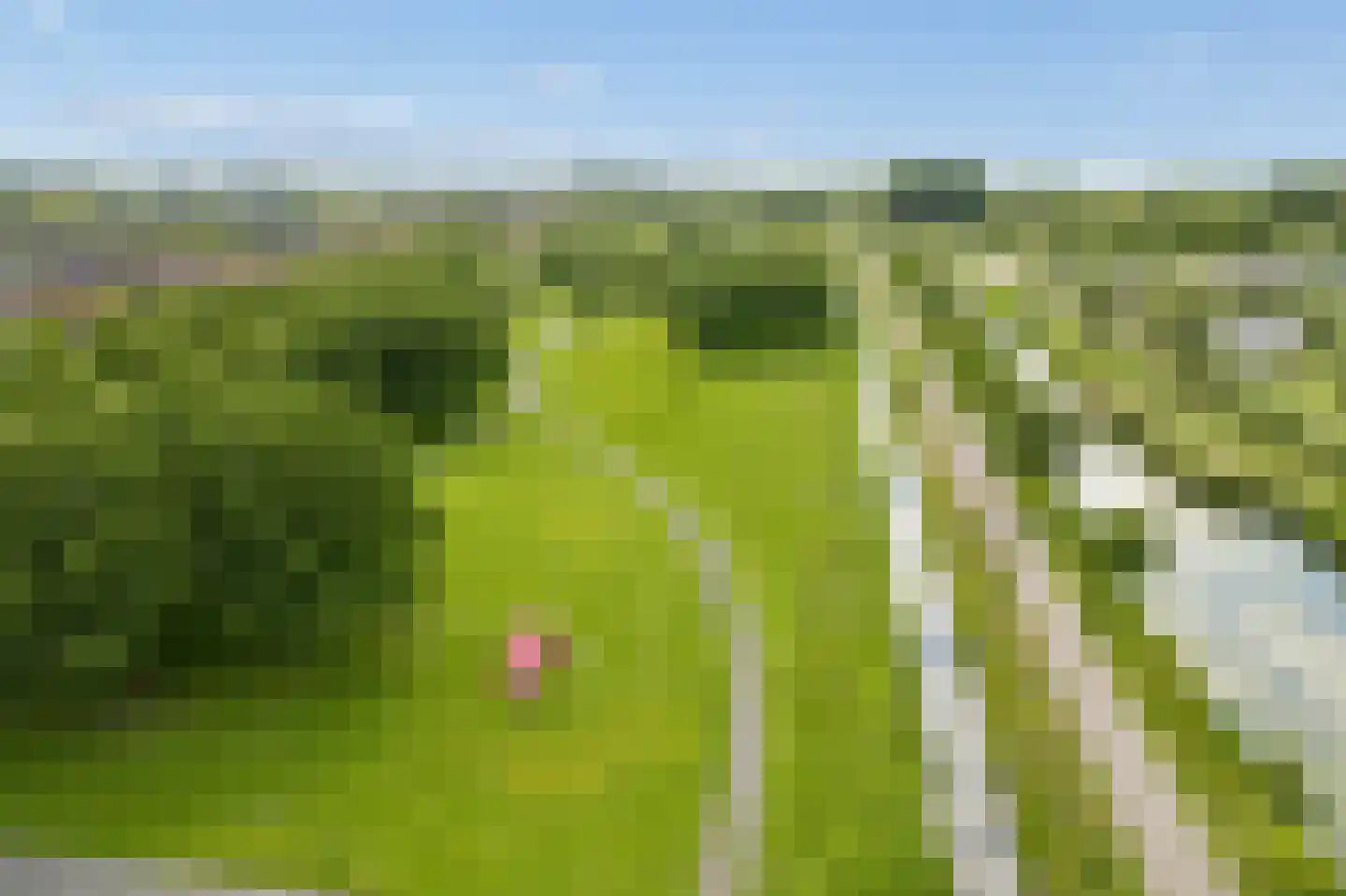 Gerard Bruninghove 11 Nieuwegein thumbnail 62