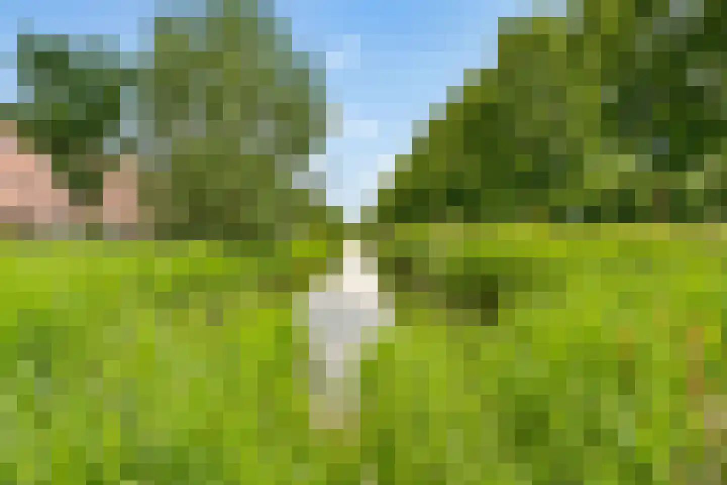 Gerard Bruninghove 11 Nieuwegein thumbnail 64