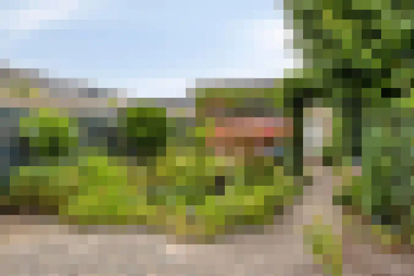 Gerard Bruninglaan 15 Bladel thumbnail 31