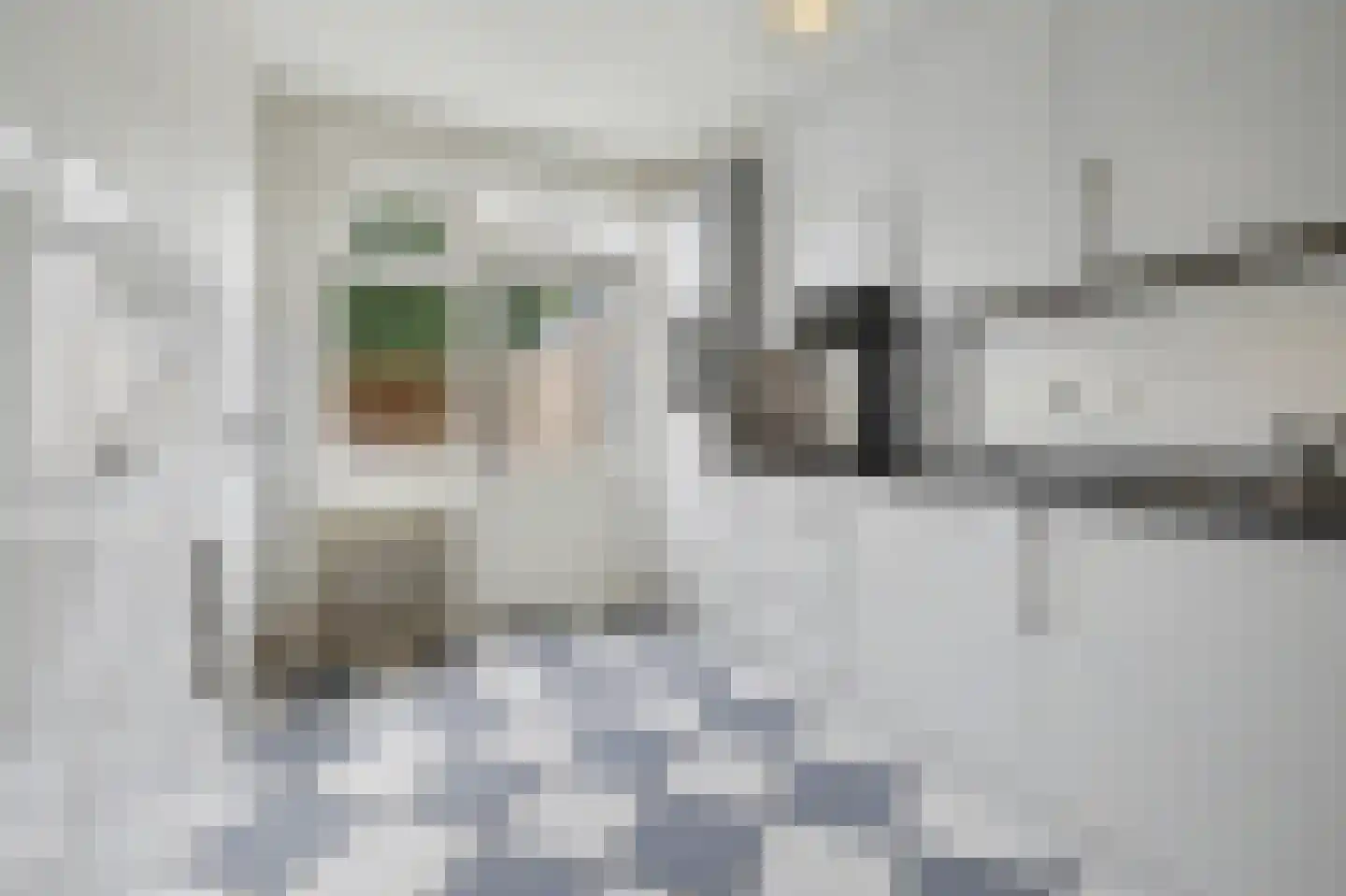 Gerard Bruninglaan 4 Bladel thumbnail 10