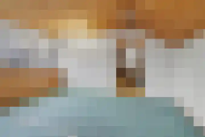 Gerard Bruninglaan 4 Bladel thumbnail 32