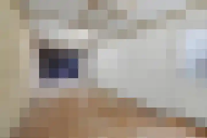 Gerard Bruninglaan 4 Bladel thumbnail 35