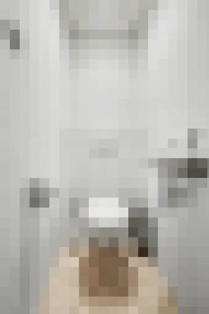 Gerard Bruninglaan 4 Bladel thumbnail 6