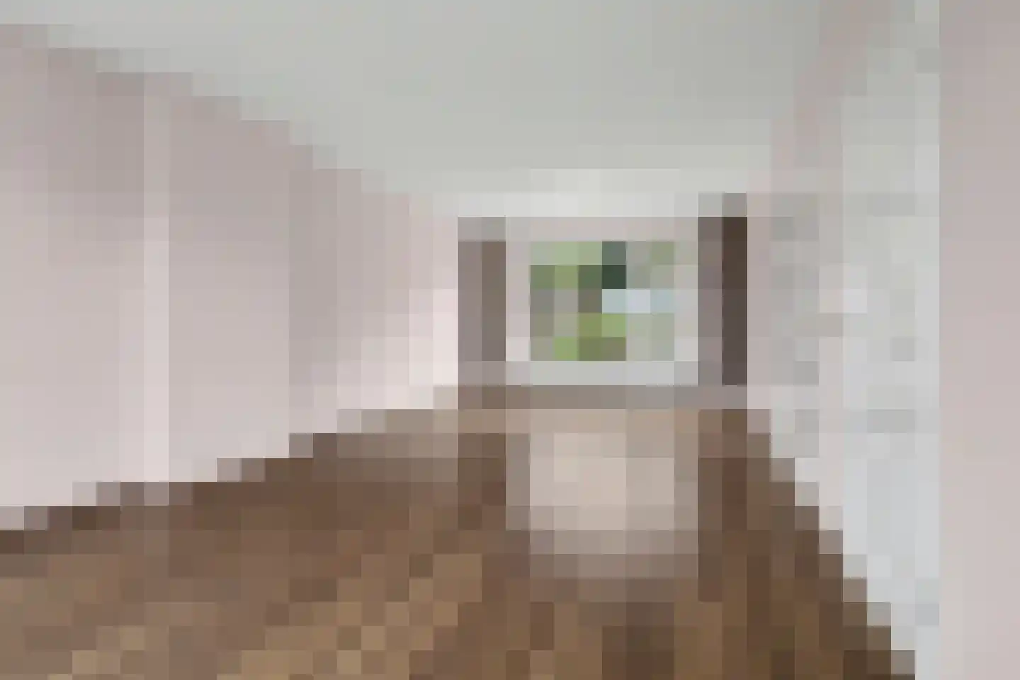 Gerard Bruninglaan 4 Bladel thumbnail 7