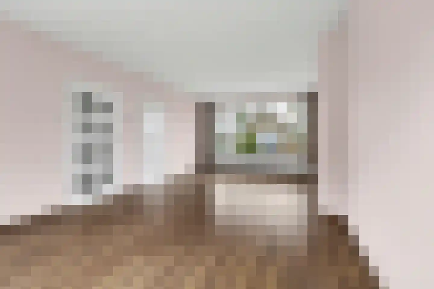 Gerard Bruninglaan 4 Bladel thumbnail 9