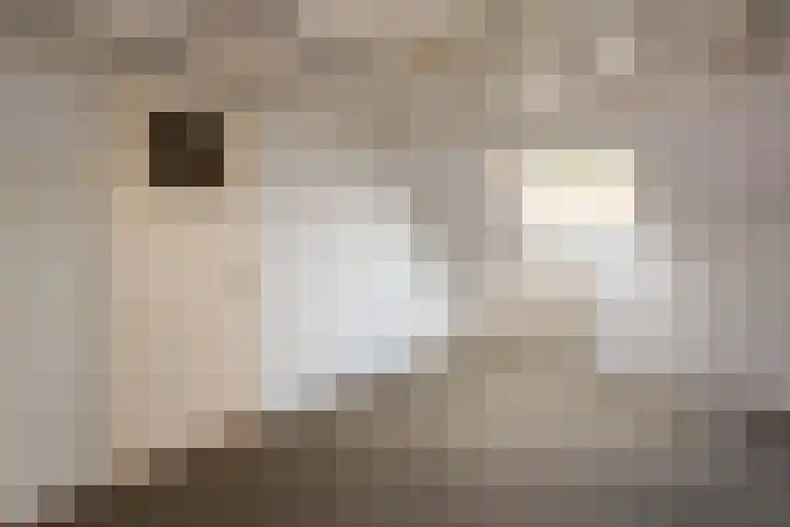 Gerard Bruninglaan 81 Bladel thumbnail 18