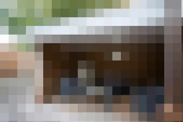 Gerard Bruninglaan 81 Bladel thumbnail 21