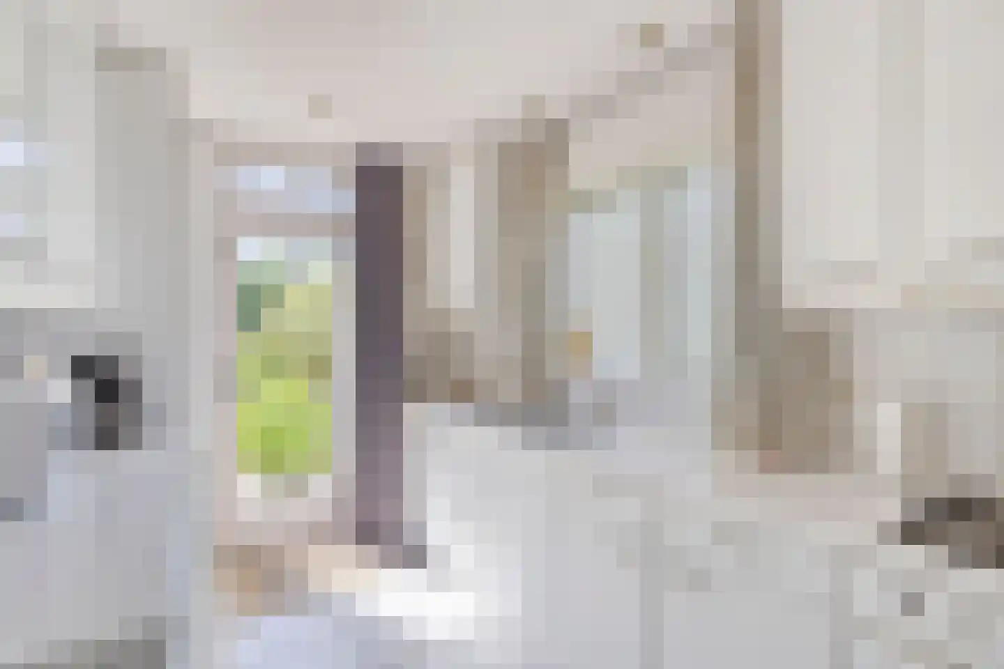 Gerard Bruningstraat 2 Rosmalen thumbnail 17