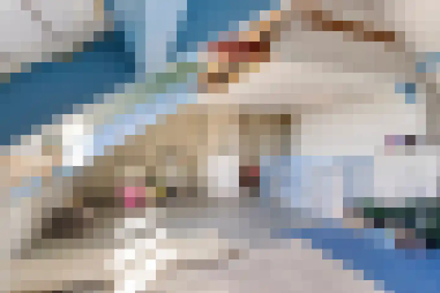 Gerard Bruningstraat 2 Rosmalen thumbnail 33